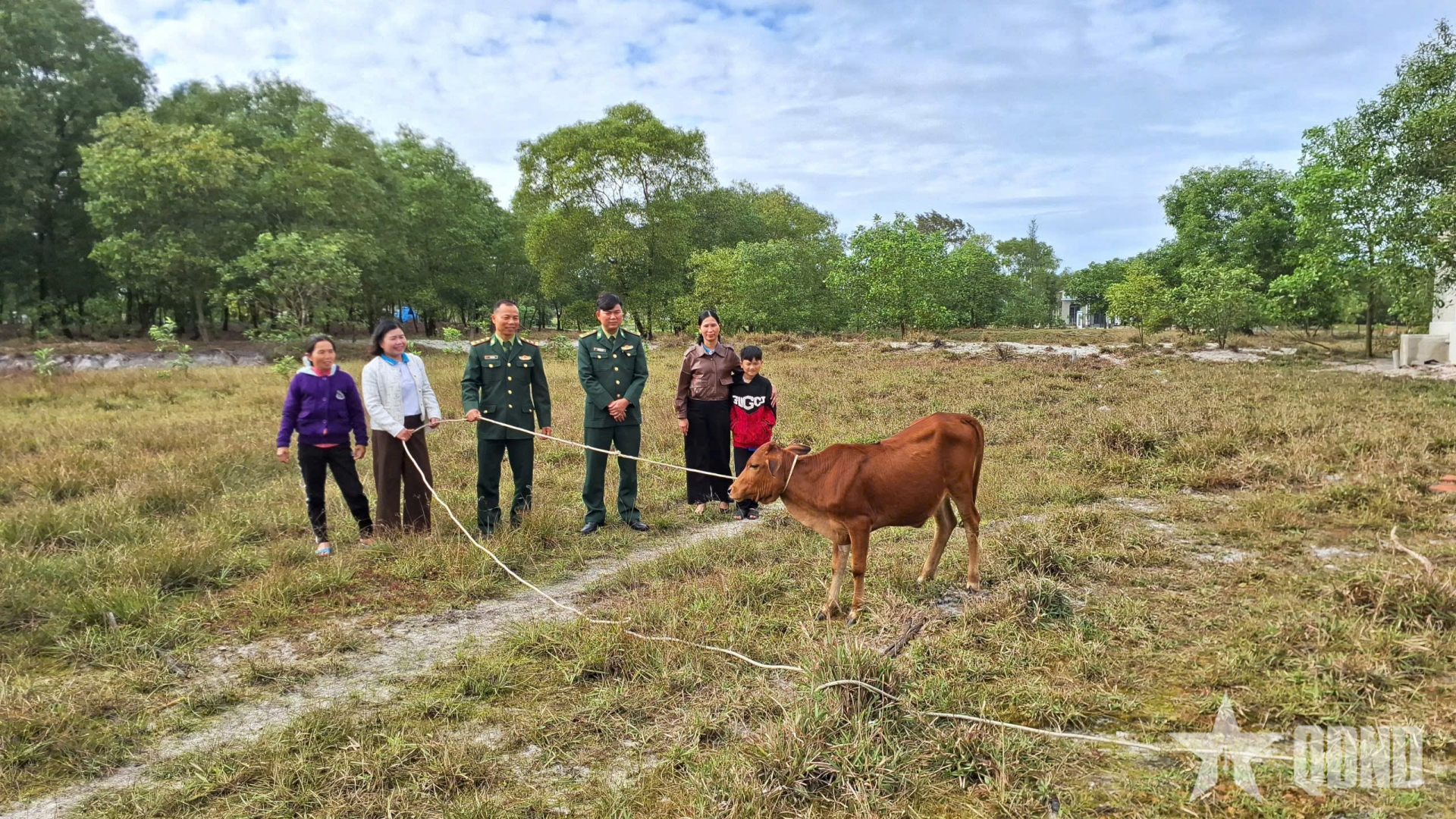 Mô hình “Bò giống quay vòng” giúp phụ nữ biên giới biển phát triển kinh tế